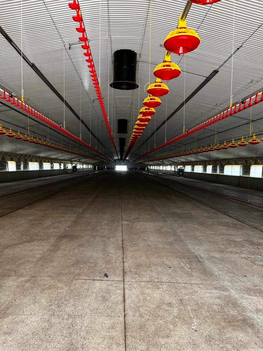 LA Systems tweet media