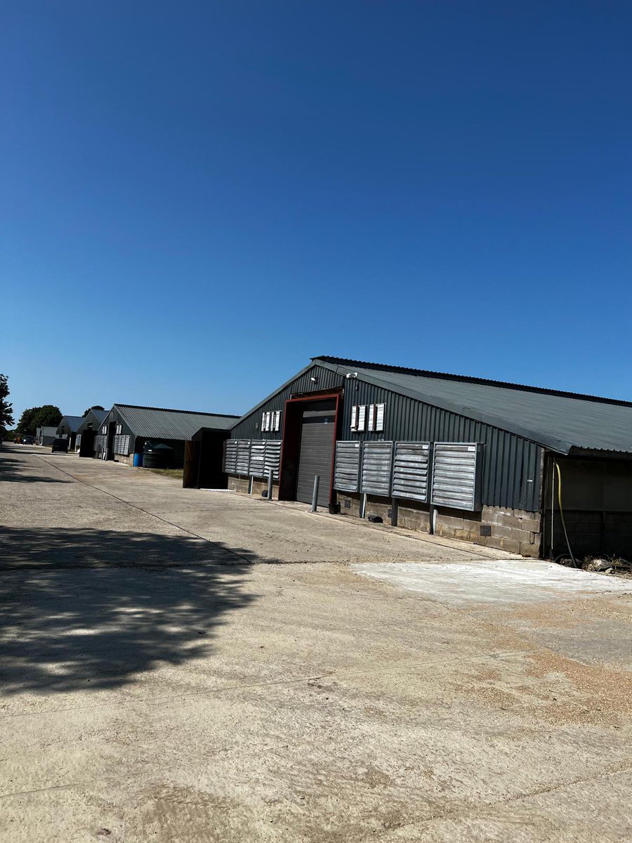 LA Systems tweet media