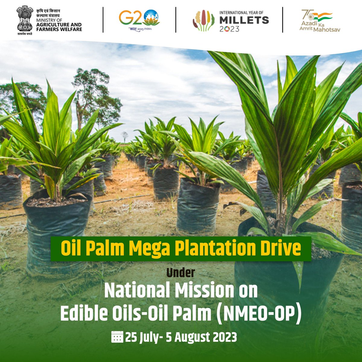 State government & Private parties will be participating in the 12-day Pan-India drive to promote the edible oil and make India self-reliant or #Aatmanirbhar. 

#Oilpalm #sustainableoilproduction #NMEOOP #AatmanirbharBharat