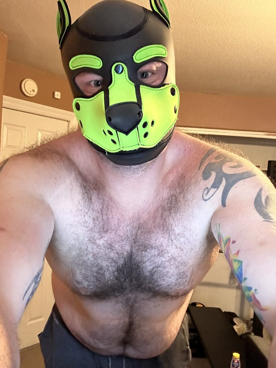 Morning workout time…hope you all have an amazing day! Stay cute stay proud and most of all remember you are amazing 🤩 woof woof Bork Bork