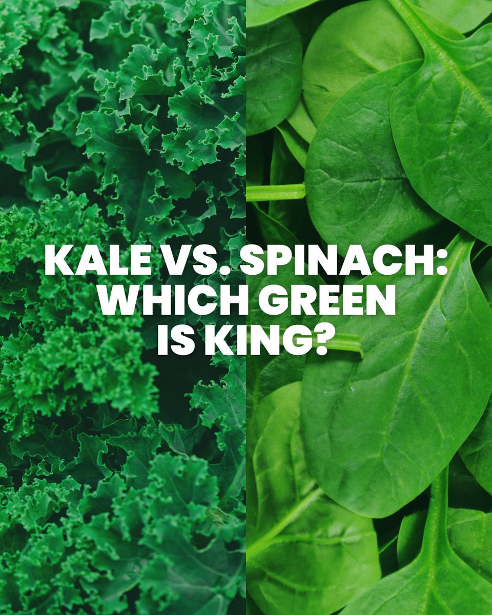 inspireyyc's tweet photo. Popeye was right! Eat your spinach. 

After analyzing 11 nutrients from kale and spinach, here’s what we found…

Kale was only superior for vitamin C, and by a small margin at that!

Check out the post to compare these two heavy weights! https://t.co/gDW9v6b4dT