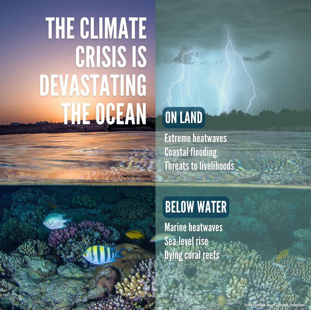 The climate crisis is devastating our planet, including our ocean.

We all have a role to play to #SaveOurOcean.

Get inspired &amp; #ActNow: un.org/sustainabledev…