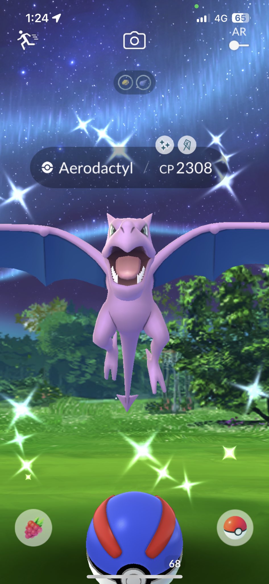 WILD AERODACTYL!?!