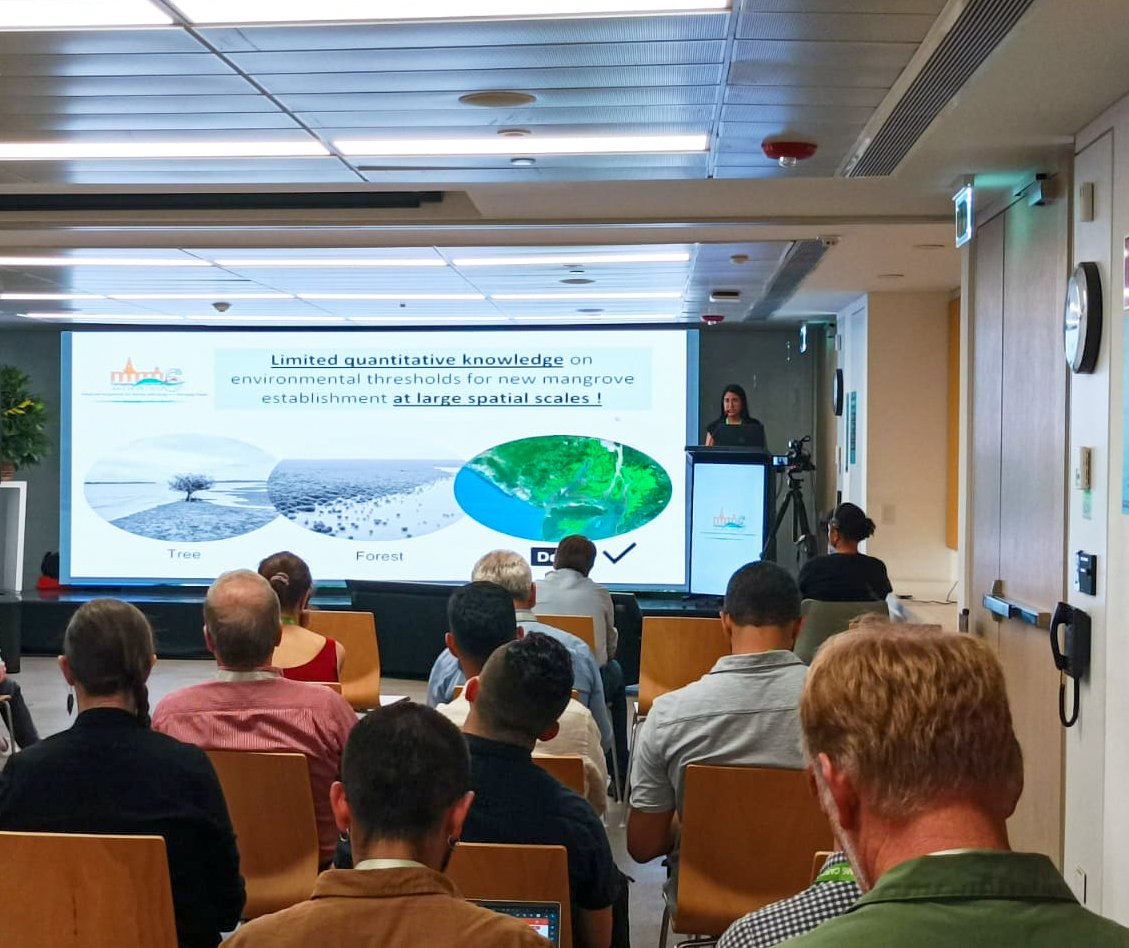 Very glad to had the opportunity to present this week some of my PhD research on Ecuadorian mangroves🌳 to mangrove experts from all over the world🌎at <a href="/MeetingMmm6/">MMM6 - Colombia</a> in Cartagena,Colombia🇨🇴. Thank you <a href="/ruffordgrants/">Rufford Foundation</a> @CorpoCEMarin for supporting my attendance with a scholarship☺️