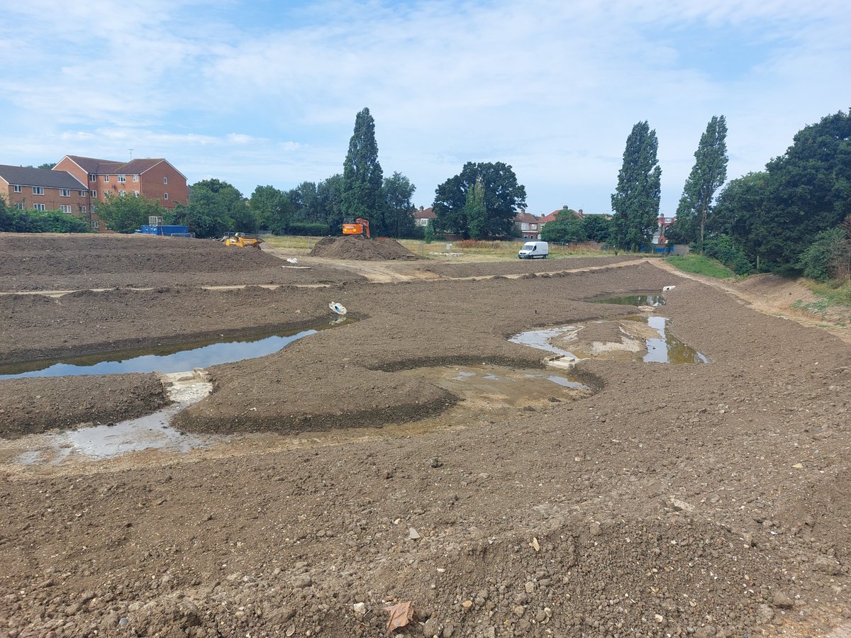 Blue Green Enfield tweet media