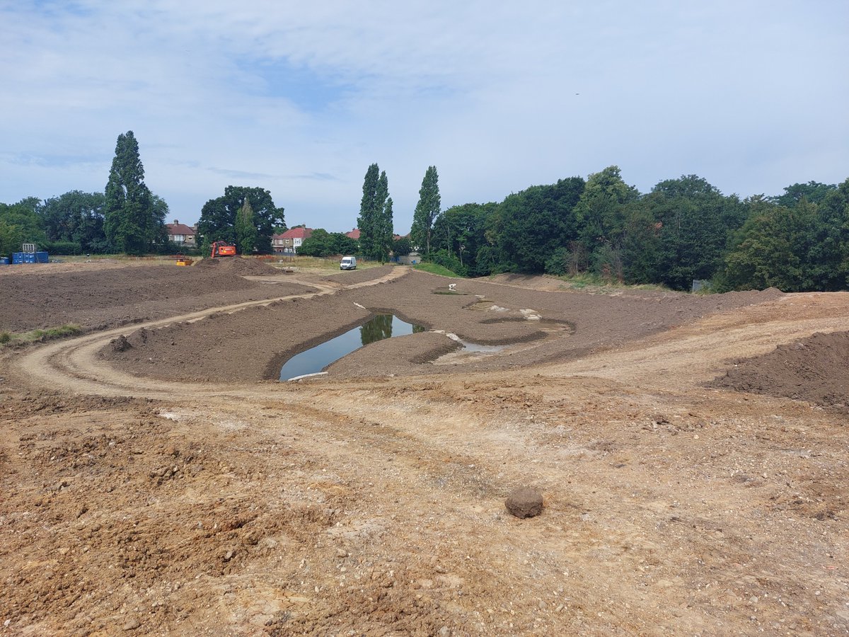 Blue Green Enfield tweet media