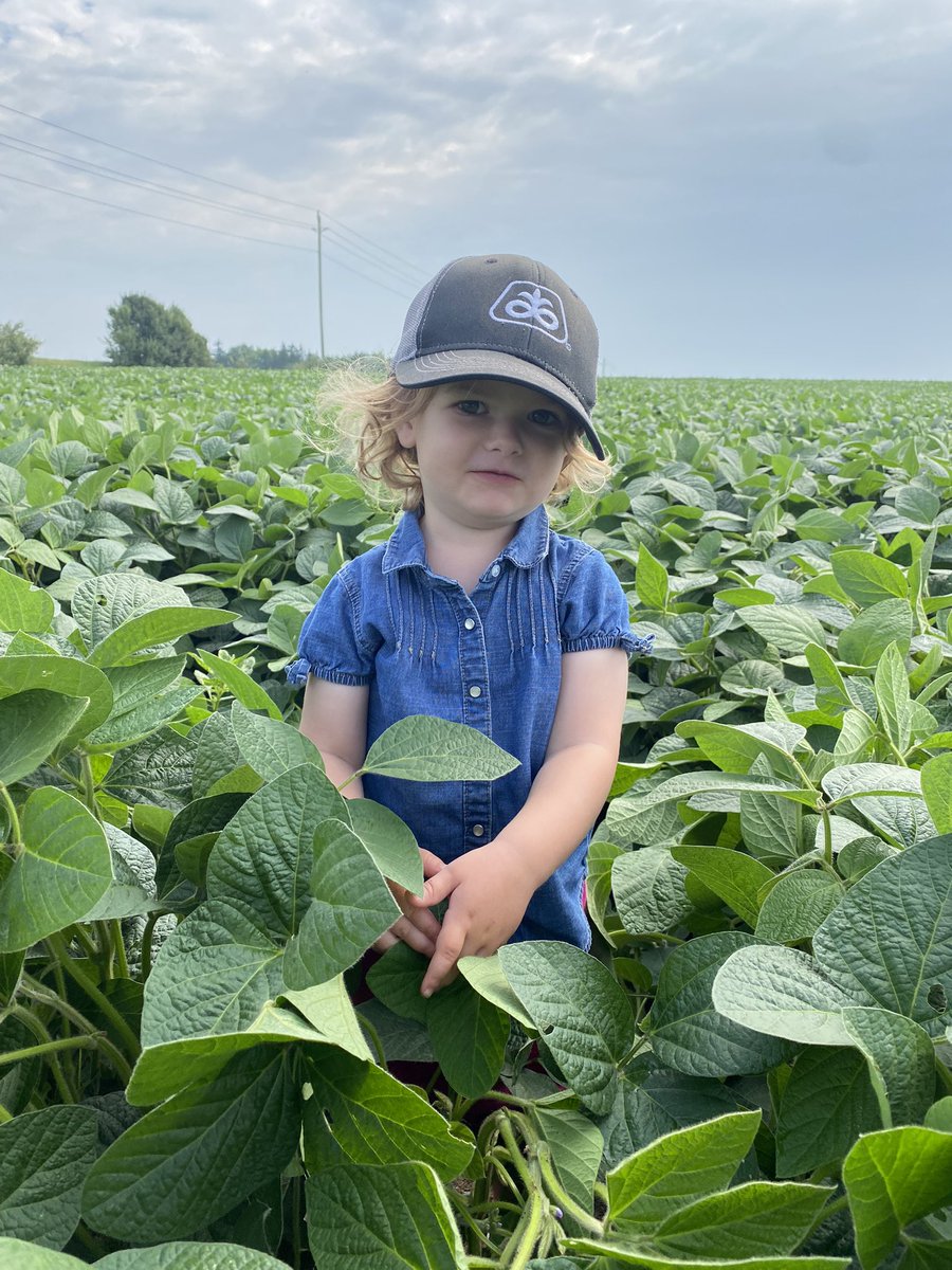 Toddridge Farm Services Ltd. tweet media