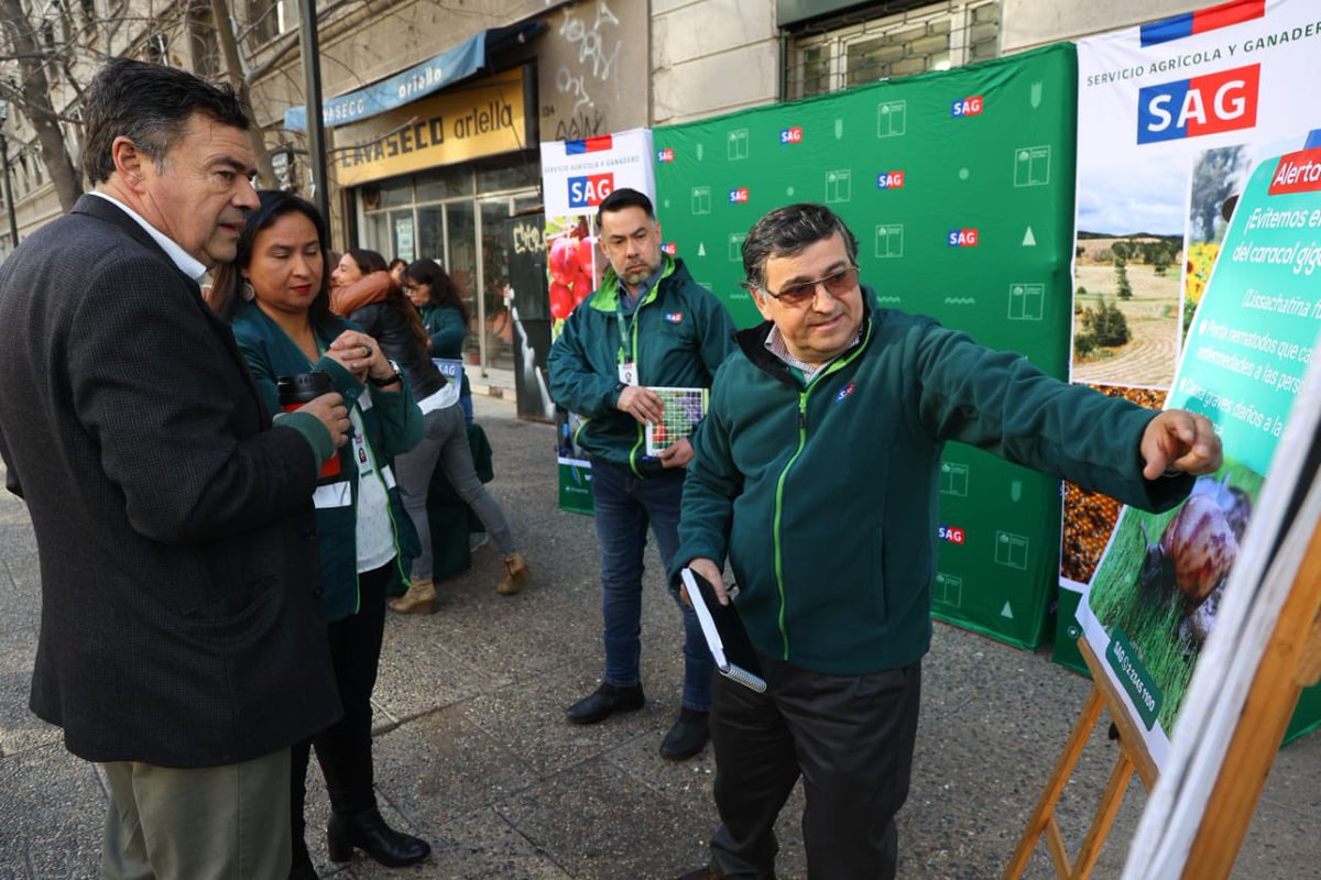 Frente a la alerta fitosanitaria decretada por el @sagchile por la detección de dos ejemplares del 'Caracol gigante africano' en nuestro país, el ministro @tvalenzuelavt junto a la directora (s) hicieron un llamado a comunicarse con el SAG ante posibles nuevas detecciones.