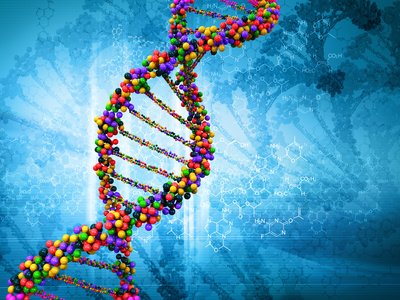 L'#hémochromatose, maladie génétique la plus fréquente en Occident est sous-diagnostiquée, or cette surcharge en fer se traite par de simples saignées
atousante.com/tag/hemochroma…