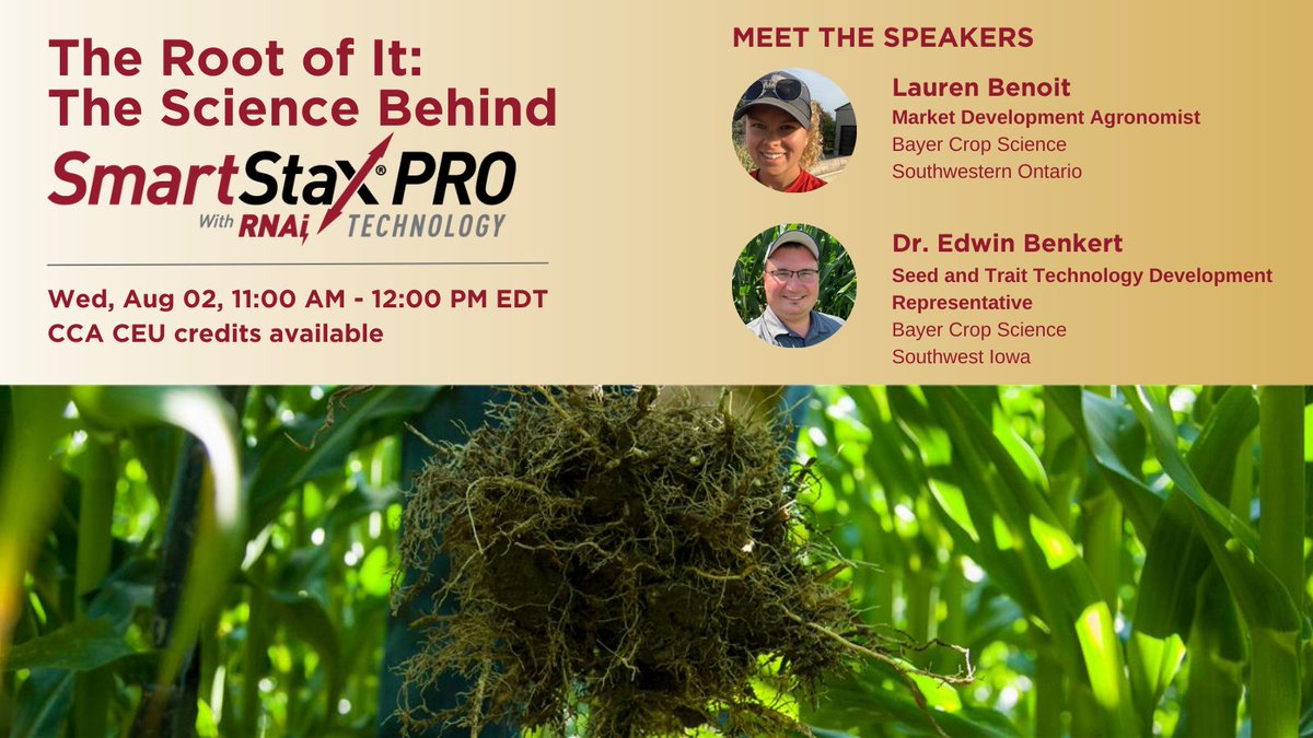 We've got all you need to know about corn rootworm control 🐛 straight from the experts! Join this online session with @LaurenDalyce, Market Development Agronomist and Dr. Edwin Benkert III, Tech Development Rep to learn more about #SmartStaxPRO: bit.ly/3qb4aeI