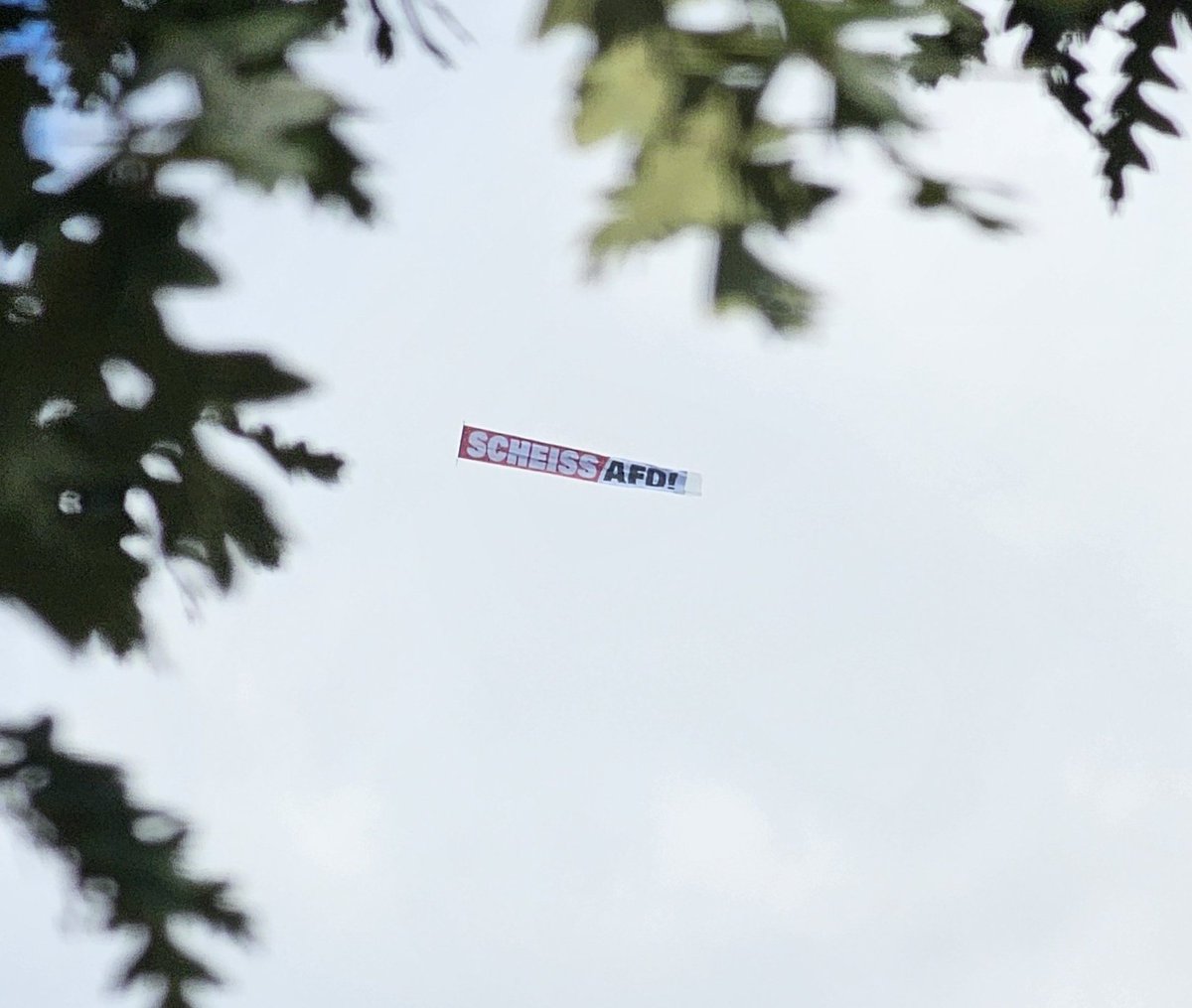 extraspur's tweet photo. Stabil #noafd am Himmel von #Magdeburg https://t.co/hvKKEz7YOA