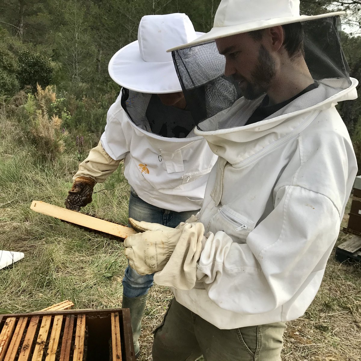 Association Confidences d'Abeilles tweet media