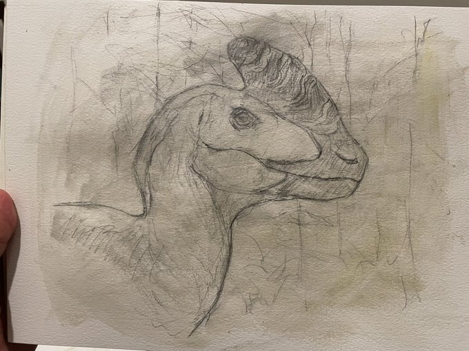 Now you can see me go too thick with the paint at first and scramble to bring back the structure from the drawing. Fun using oils for more personal work- love the edge variety you get with the medium! 