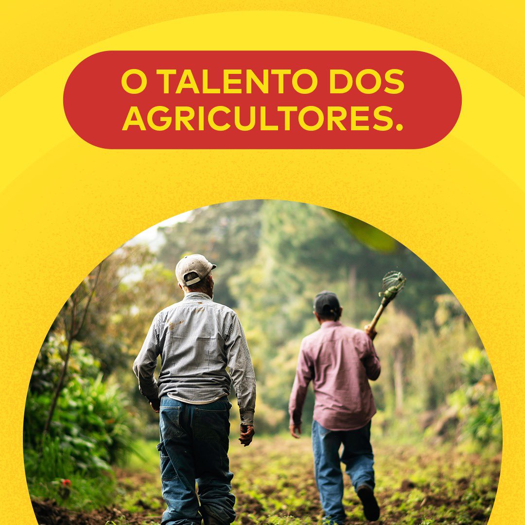 Dia de homenagear os agricultores de todo o Brasil, que trabalham com amor pela terra para produzir as batatas que você tanto ama.