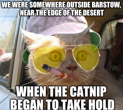 ellelljaytoo's tweet photo. #ThisWeekendIWant to party like it's the back nine on life nine...carpe #catnip!⛳️

             -- Hunter S. Thomcat 

#carpediem #catniplife #catsoftwitter 🌱🪴😽 https://t.co/IRFTBXkG53