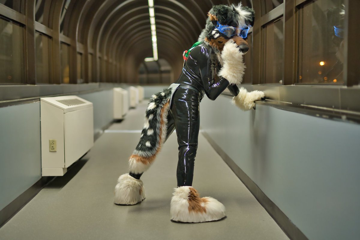 Shiny_Endorphine_AD at NFC๐ (@endorphinedoga) on Twitter photo Pssst! Hey! You know what? Iโam not cute as much as you are! Just trying to be cute for the camera!
๐โฆ๐ธ โฆ<a href="/kealianwolf/">kealian ๐ BFD / F M</a>โฉ Pssst! Hey! You know what? Iโam not cute as much as you are! Just trying to be cute for the camera!
๐โฆ๐ธ โฆ<a href="/kealianwolf/">kealian ๐ BFD / F M</a>โฉ