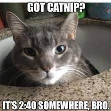 ellelljaytoo's tweet photo. #ThisWeekendIWant to party like it's the back nine on life nine...carpe #catnip!⛳️

             -- Hunter S. Thomcat 

#carpediem #catniplife #catsoftwitter 🌱🪴😽 https://t.co/IRFTBXkG53
