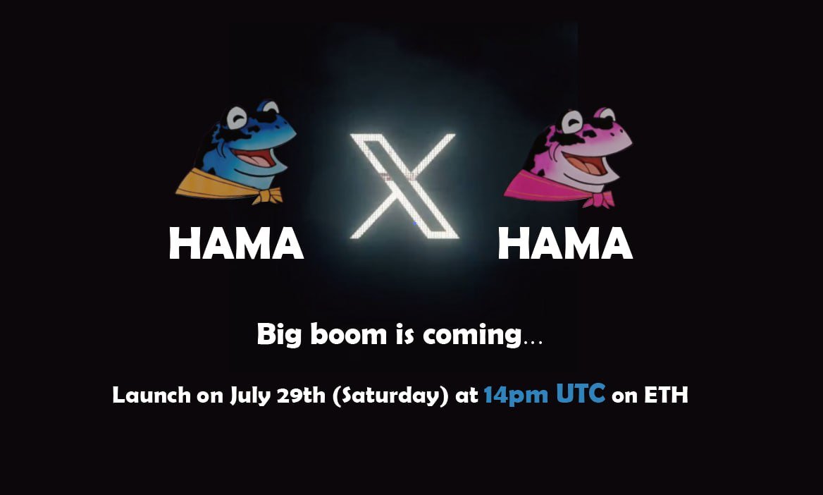 Hama #HAMA tweet media