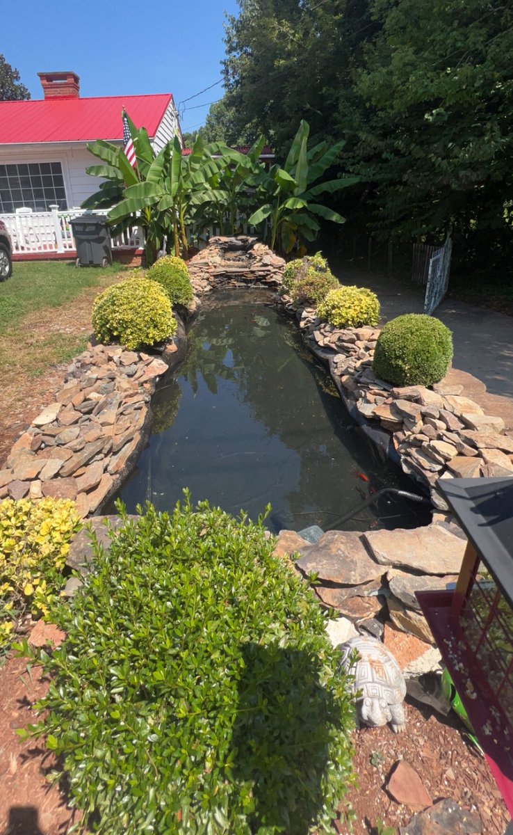 VictoriaPavon98's tweet photo. This counts as an art project, right?! Dad and I worked hard this week building a new fountain for our koi.  We transferred our fish from the old fountain to the new one today! We had the cutest supervisors this morning! 
#SCEsummerfunbingo https://t.co/rtrgHkkVgO