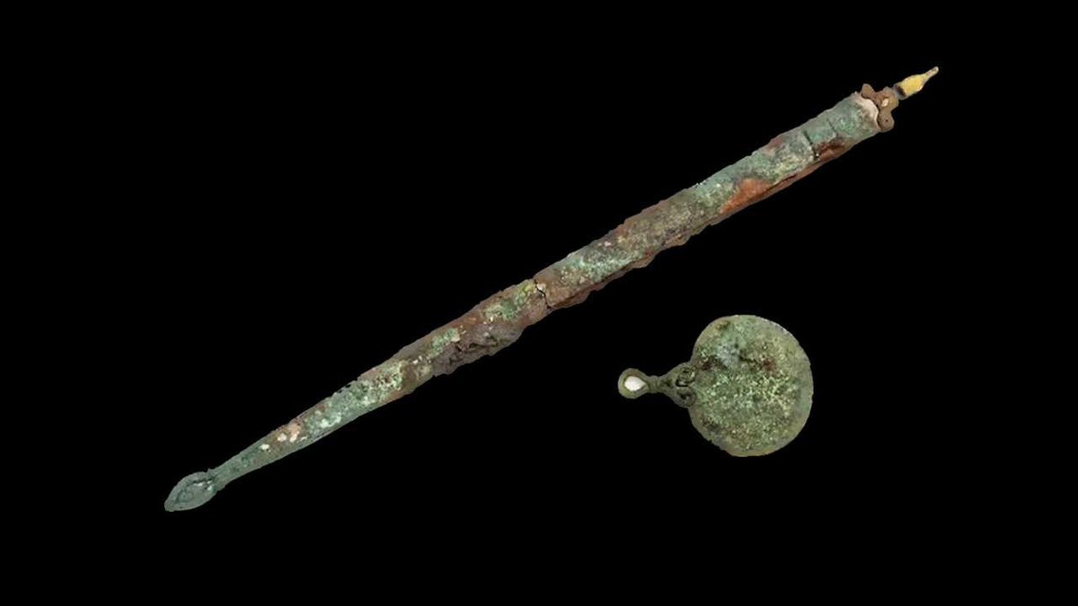 thenaukaua's tweet photo. 🗡  Власниця дзеркала і меча з давньої британської могили виявилася кельтською воїнкою

Одне з найбагатших поховань залізної доби в Англії належало молодій воїнці, з'ясували молекулярні біологи. Досі було невідомо, хто був похований у могилі, однак вченим вдалося отримати з 2000-річних решток зубів білки, які вказали на стать

Що це за поховання?

У 1999 році на фермі Гіллсайд, що на південному заході Англії, виявили могилу, яку датували 100-50 роком до нашої ери, коли у регіоні перебували кельти. З-поміж інших поховань цього часу могила відрізнилась багатством наповнення, однак довгий час археологам не вдавалося з'ясувати, кому поховання могло належати. Річ у тім, що у похованні одночасно лежали щит, меч і бронзове дзеркало — артефакти, які зазвичай не зустрічаються разом, оскільки з мечами й щитом зазвичай ховали чоловіків, а з дзеркалами — жінок. 

Як визначили, що у похованні — воїнка?

Рештки людини, якій належала могила, збереглися дуже погано — вчені змогли дістати всього 150 грамів фрагментів кісток та зубів. За зубами вдалося встановити, що вік похованого складав 20-25 років, однак сильна деградація решток не давала можливості з'ясувати його стать. Визначити її вдалося дослідникам з Саутгемптонського університету, які спільно з колегами змогли виокремити із частин черепа фрагменти ДНК і з решток зубної емалі пептиди — короткі ланцюжки амінокислот, фрагменти білків. Аналіз показав, що з імовірністю у 96 відсотків рештки у могилі належали жінці.

Історичні знахідки, у тому числі поховання, свідчать, що жінки брали участь у бойових набігах кельтів на інші поселення, тому дослідники вважають, що і загибла була воїнкою. А враховуючи багате оздоблення її поховання, вона могла грати основну роль в організації бойових зіткнень.