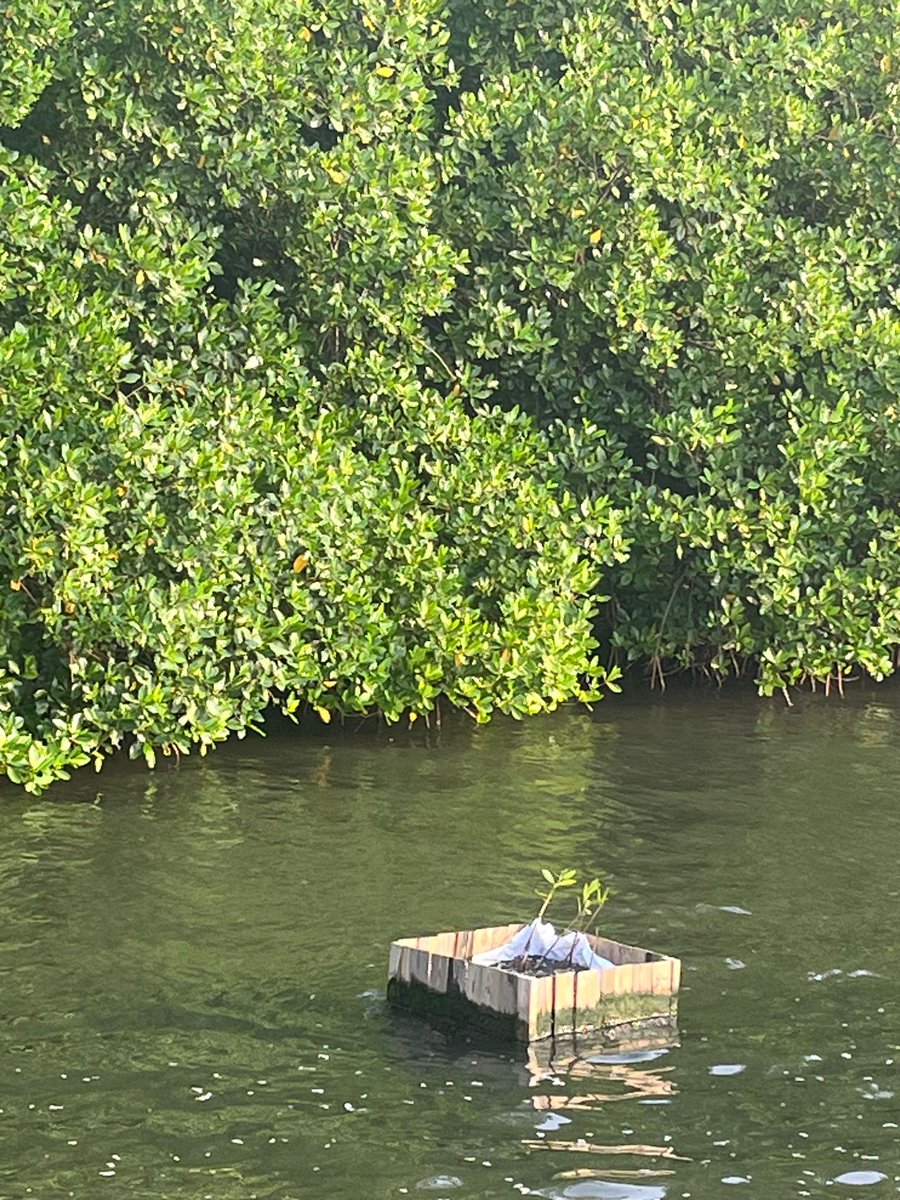 UrbanShift tweet media