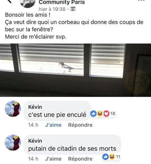 TopDesTwittos's tweet photo. Il y’a 4 ans sur Facebook, jour pour jour https://t.co/fZTigvdlS8