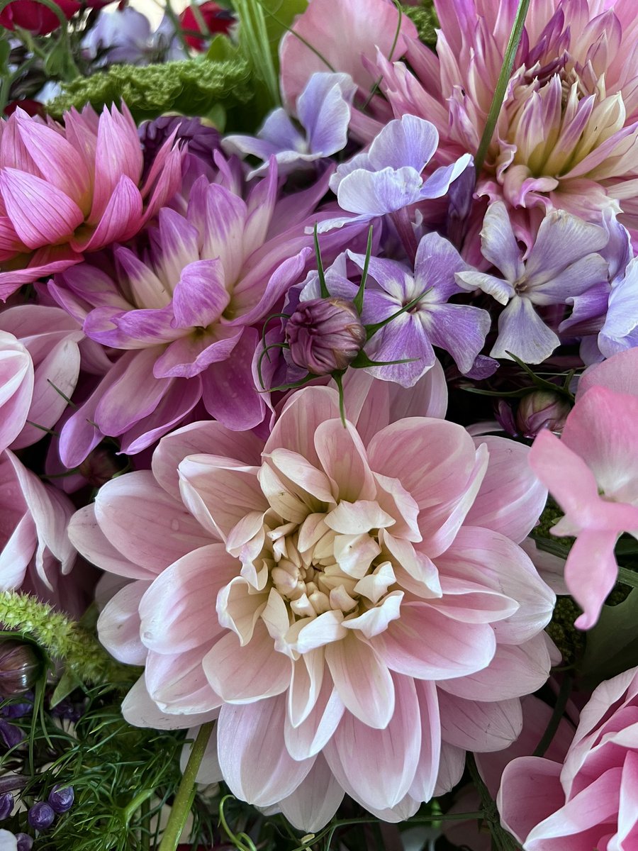 Georgie Newbery tweet media