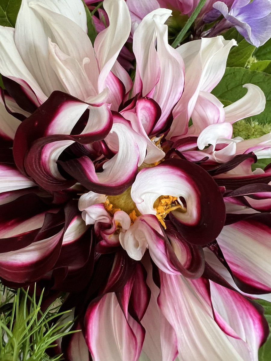 Georgie Newbery tweet media