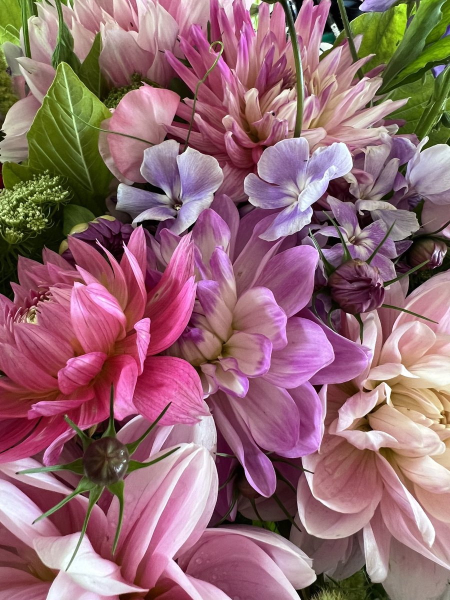 Georgie Newbery tweet media