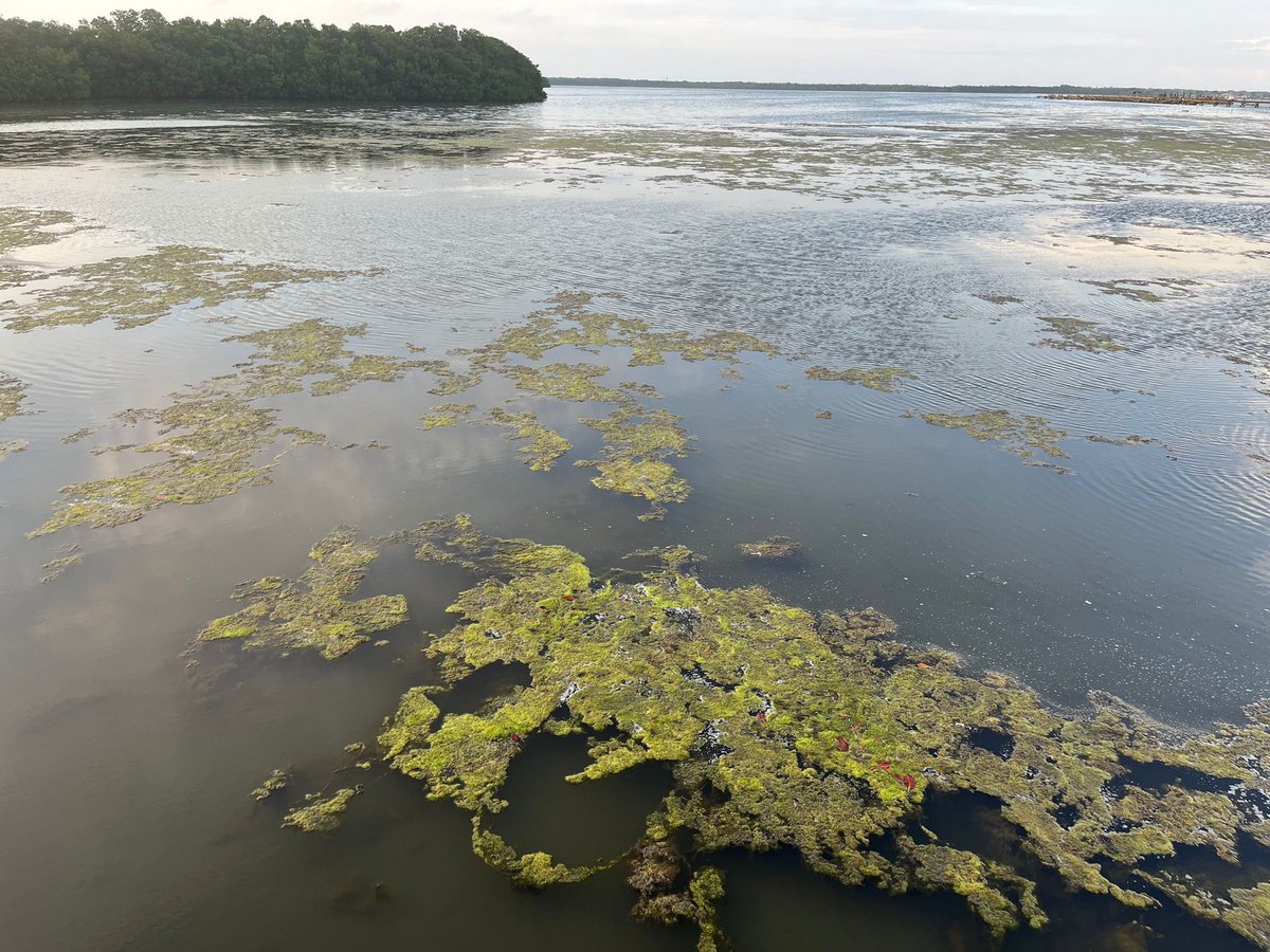 UrbanShift tweet media