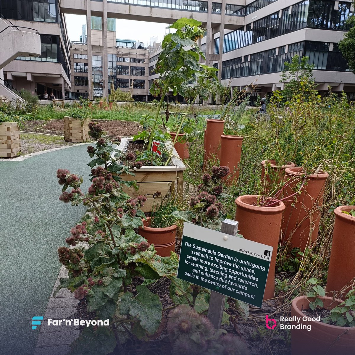 Far'n'Beyond (@farnbeyond) on Twitter photo Far'n'Beyond was invited to the <a href="/UniversityLeeds/">University of Leeds</a> on Wednesday by <a href="/YorksWildlife/">Yorkshire Wildlife Trust - follow us on Bluesky 🦋</a> for the Summer Corporate Partner’s Event.
A great afternoon to understand the vast working research being undertaken alongside the YWT and how we can get more involved.
#designprintdigital #ywt Far'n'Beyond was invited to the <a href="/UniversityLeeds/">University of Leeds</a> on Wednesday by <a href="/YorksWildlife/">Yorkshire Wildlife Trust - follow us on Bluesky 🦋</a> for the Summer Corporate Partner’s Event.
A great afternoon to understand the vast working research being undertaken alongside the YWT and how we can get more involved.
#designprintdigital #ywt