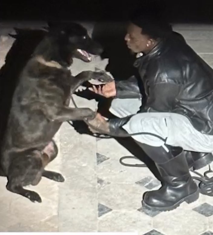 swaggerOlly4j4j's tweet image. dawg