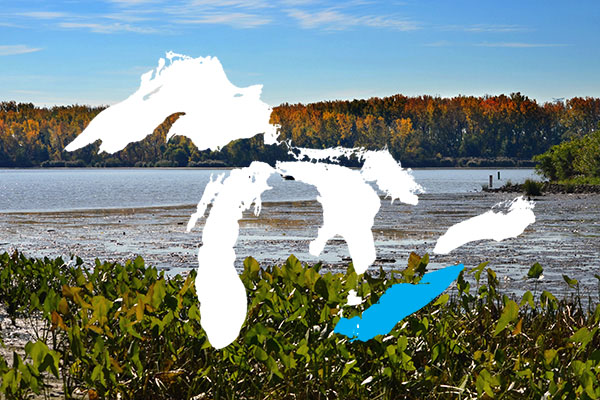 PhycoTechInc's tweet photo. Lake Erie is the most shallow of the Great Lakes. This allows it to warm quickly in Spring, and it often freezes over in Winter. The lake's shores are a stopover for many migratory birds and butterflies.

https://t.co/LIOAzalnpG https://t.co/Vp5pdmJQUO