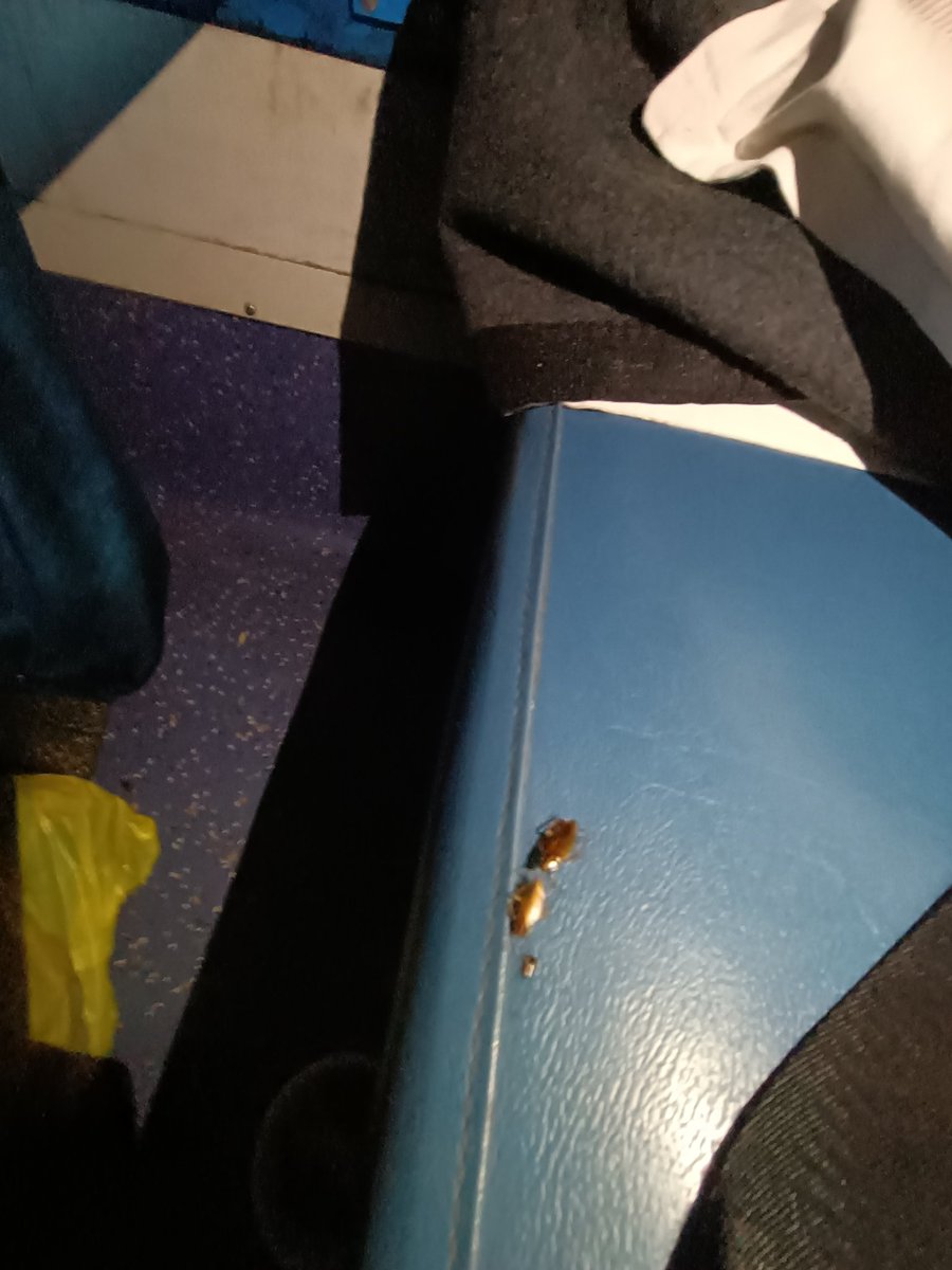 manoj7322's tweet photo. @RailMinIndia @southernrailway @RailwaySeva @nationalrailenq
#train16382 Reserved seats well in advance &amp; the tickets are confirmed, but too many coachroaches occupying our seats😞
Disappointed with the level of cleanliness in AC Coach. Kindly do pest control once in a while. https://t.co/7XNIDohWLy