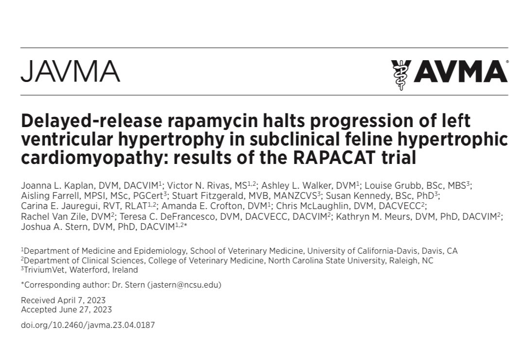 Jstern_DVM's tweet photo. We are so proud to see this published and continue the forward motion toward a promising new treatment for cats with hypertrophic cardiomyopathy! @CVMResearch @ucdavisvetmed @victorrigu @TriviumVet @everycathealth @Morris_Animal @NCStateCVMDean https://t.co/gFIhu451Zq https://t.co/3FN70g7ejD
