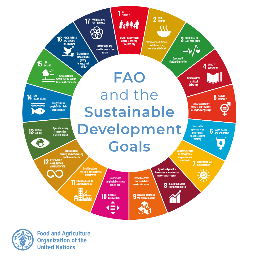 17 goals.

7 years to achieve them.

1 future.

Food &amp; agriculture lie at the heart of achieving each &amp; every one of the 17 #SDGs.

FAO is committed to help build a better future for all, learn how 👉bit.ly/3JGDVkS