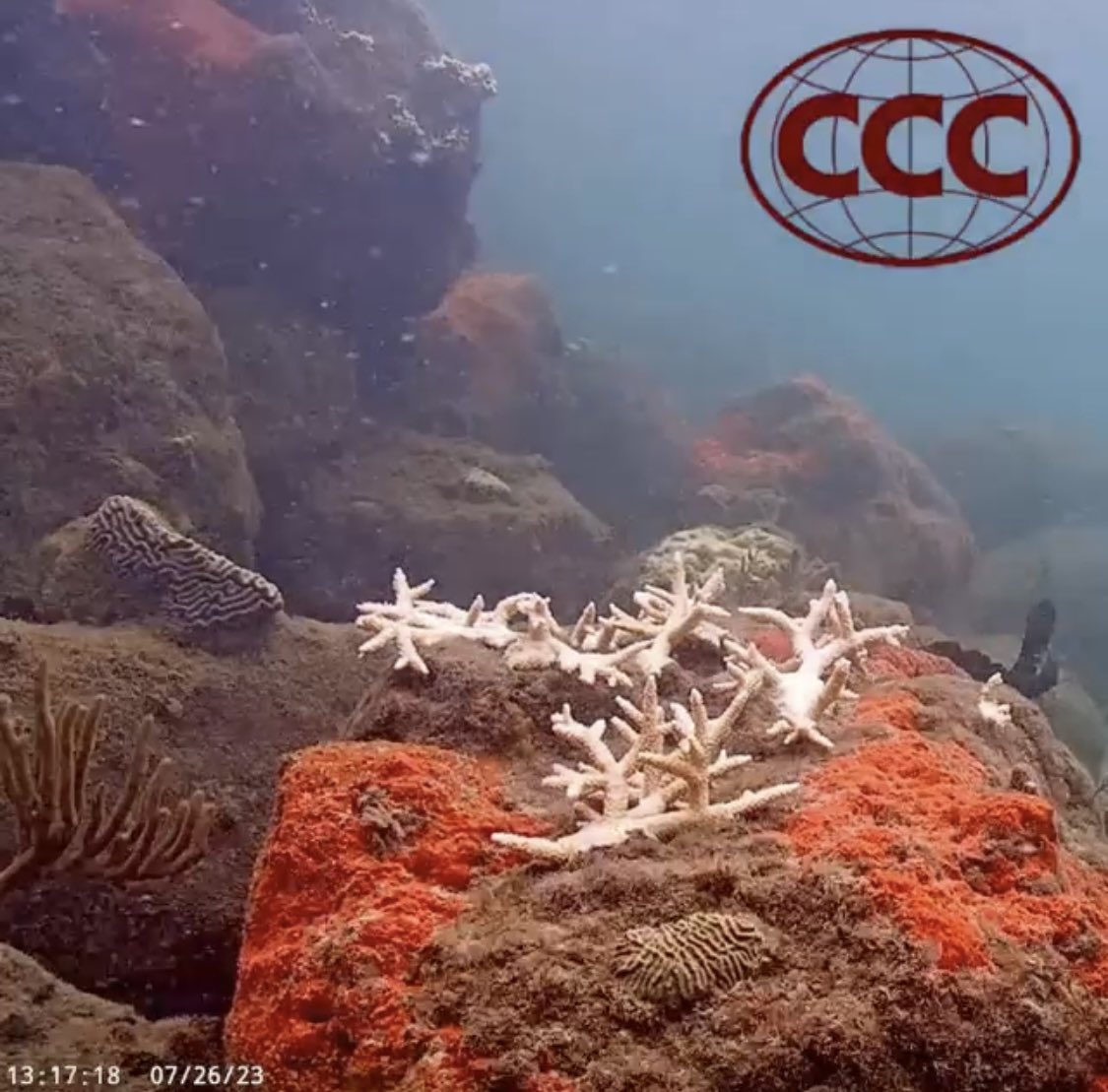 Bill Precht tweet media