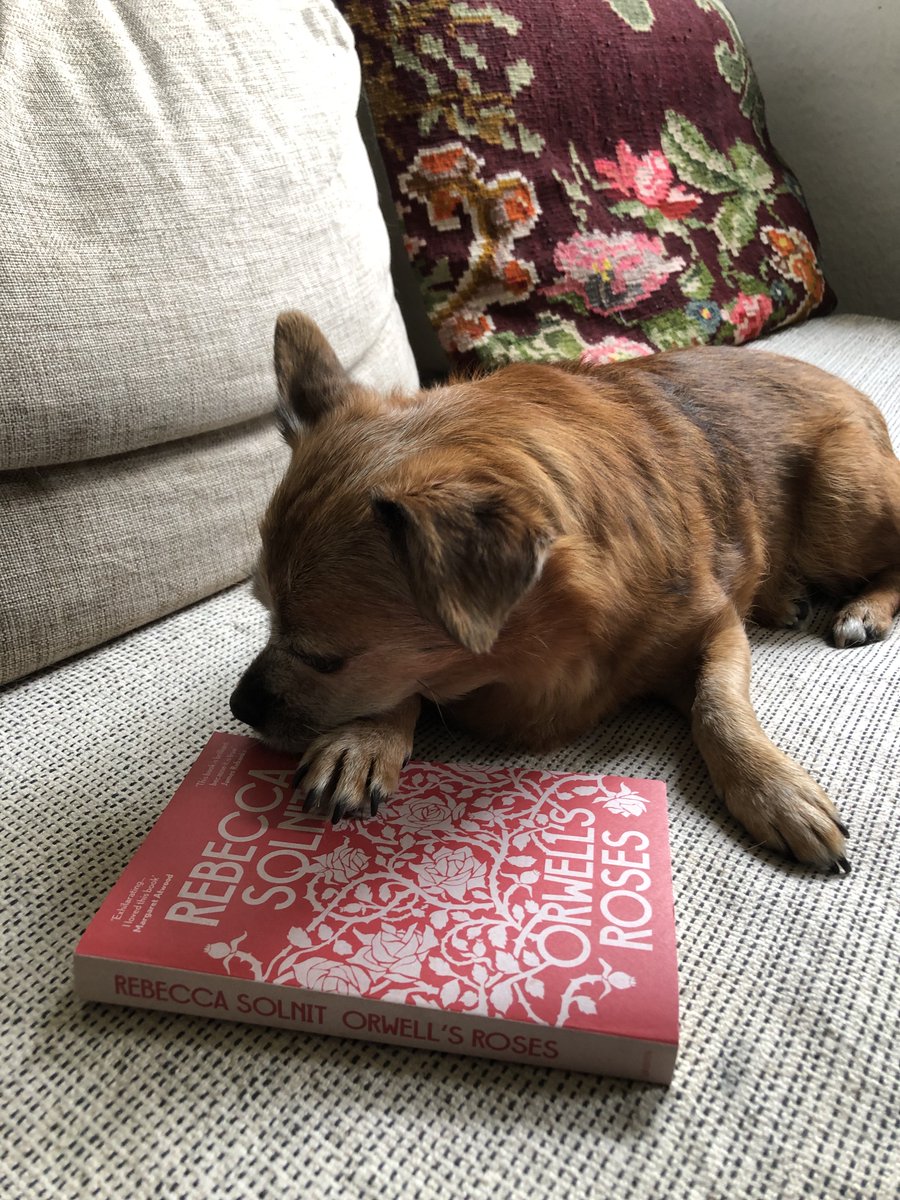 "Nature itself is immensely political, in how we imagine, interact with, and impact it."

🌹 Rebecca Solnit in Orwell's Roses🌹