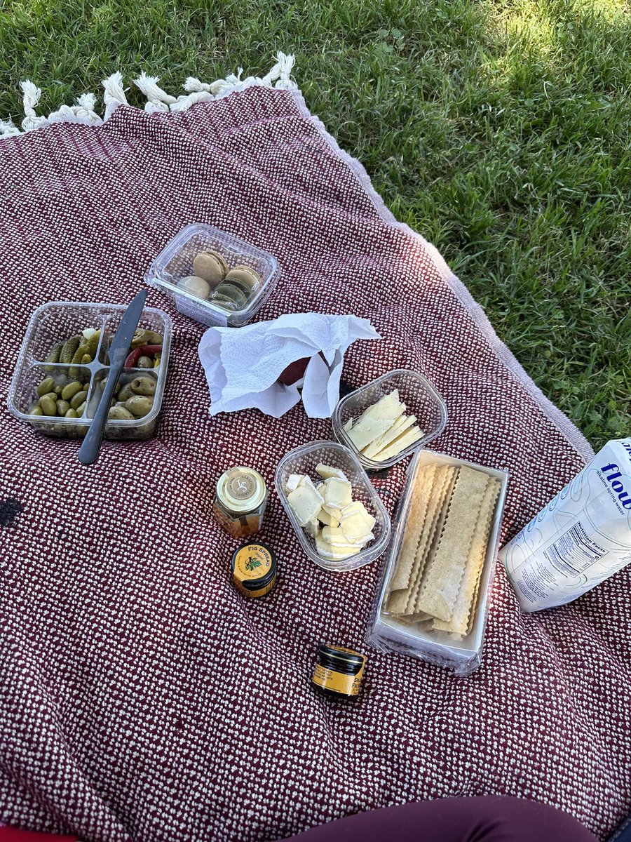 gladheartnik's tweet photo. Some picnic never hurt anyone https://t.co/n9milHeI39
