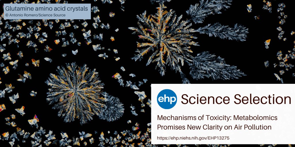 Environmental Health Perspectives (@ehponline) on Twitter photo NEW: Liang et al. conducted a state-of-the-science review examining whether high-resolution metabolomics can help clarify mechanisms of air pollution toxicity. The results were surprising—and exciting. Read our summary ➡️ ow.ly/ElXS50PnQK0 <a href="/donghai_liang/">Donghai Liang</a> <a href="/vrmlnroel/">Roel Vermeulen</a> NEW: Liang et al. conducted a state-of-the-science review examining whether high-resolution metabolomics can help clarify mechanisms of air pollution toxicity. The results were surprising—and exciting. Read our summary ➡️ ow.ly/ElXS50PnQK0 <a href="/donghai_liang/">Donghai Liang</a> <a href="/vrmlnroel/">Roel Vermeulen</a>