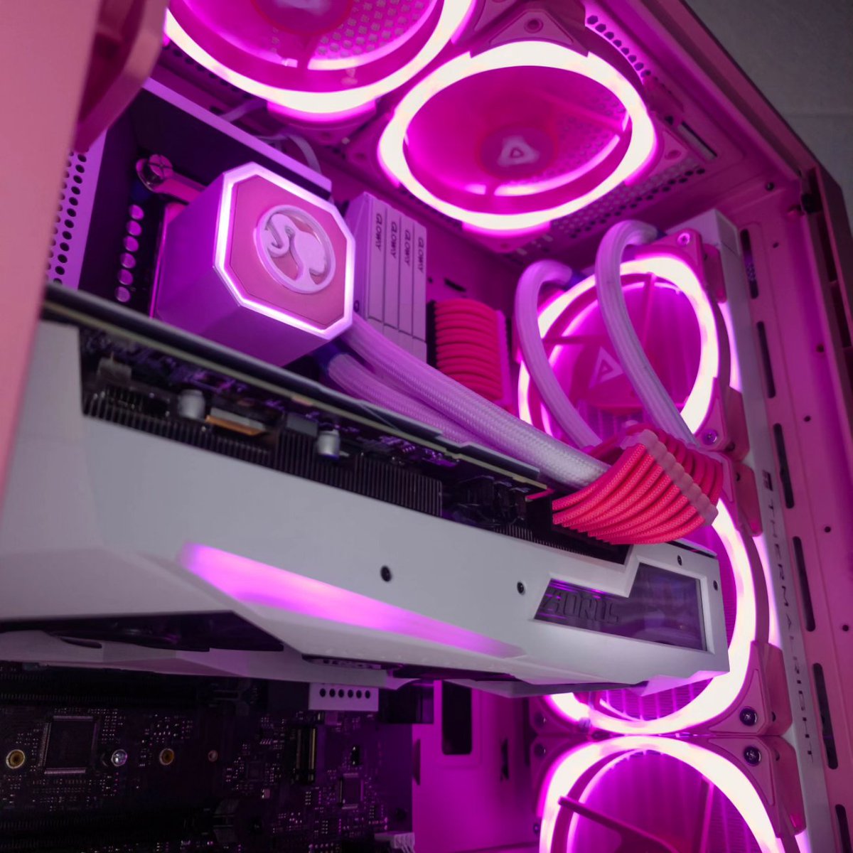 ApeviaCorp's tweet photo. We're absolutely smitten with the Barbie Inspire Pink build by GWS!🩷🎀⁣
Beyond it's stunning pink Barbie aesthetics, this build packs a serious punch!👊⁣
#PCbuild #GamingSetup #Gamers #barbiestyle #barbiebuild #pinksetup #inspireseries #CustomGaming #PCMasterRace #PcGamers https://t.co/4DrrGel3dd