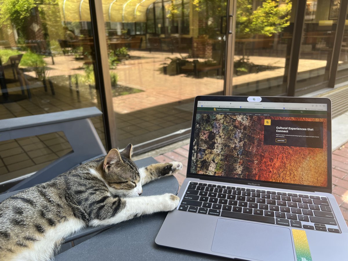 Baylor Libraries tweet media