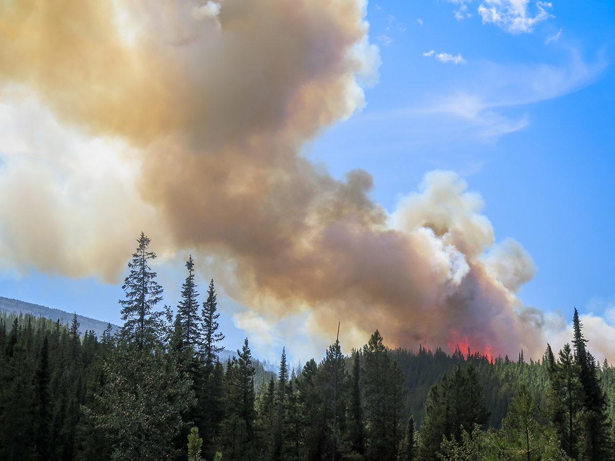 JasperNP's tweet photo. #FireTalkFriday Smoke is in the way! 🔥
Wildfire sizes can be difficult to estimate when smoke blocks the view. 💨 Refined estimates are done on the ground with handheld GPS for small fires and from the air with a helicopter GPS for large fires once the smoke clears. 🧭 https://t.co/stWexY9YuY