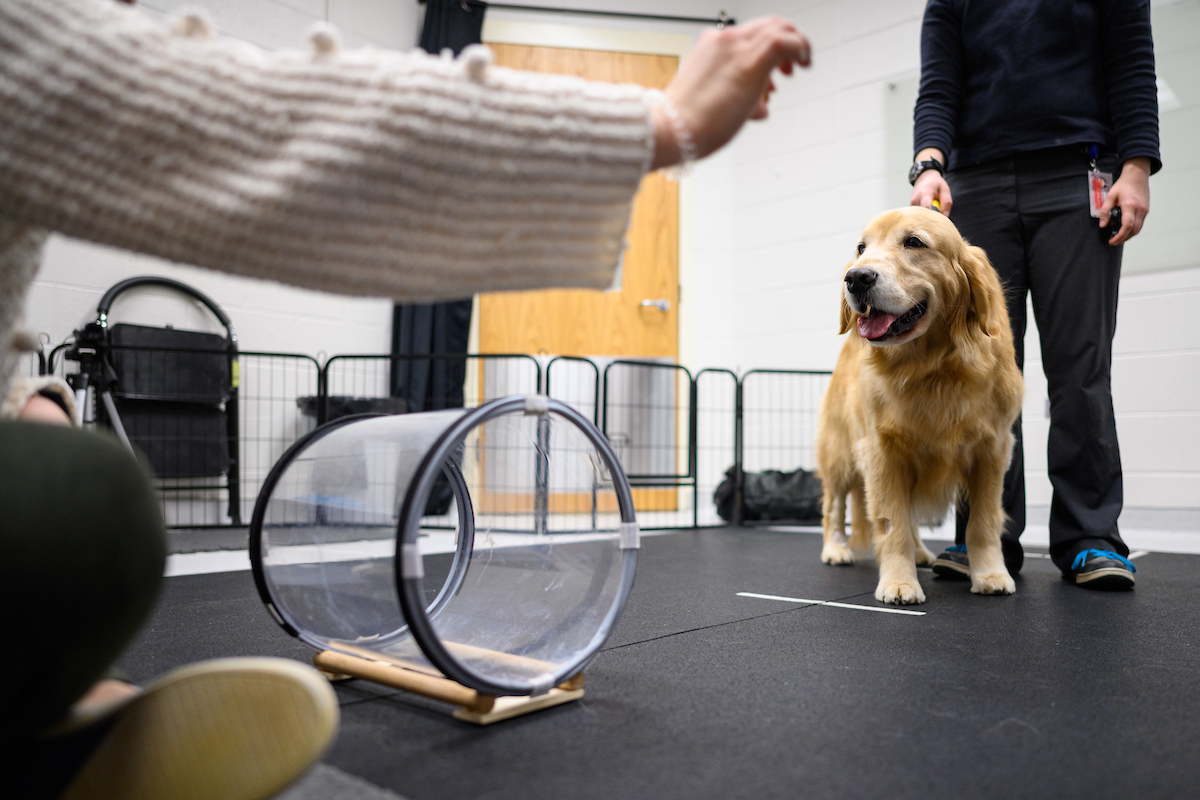 NC State Vet Medicine tweet media