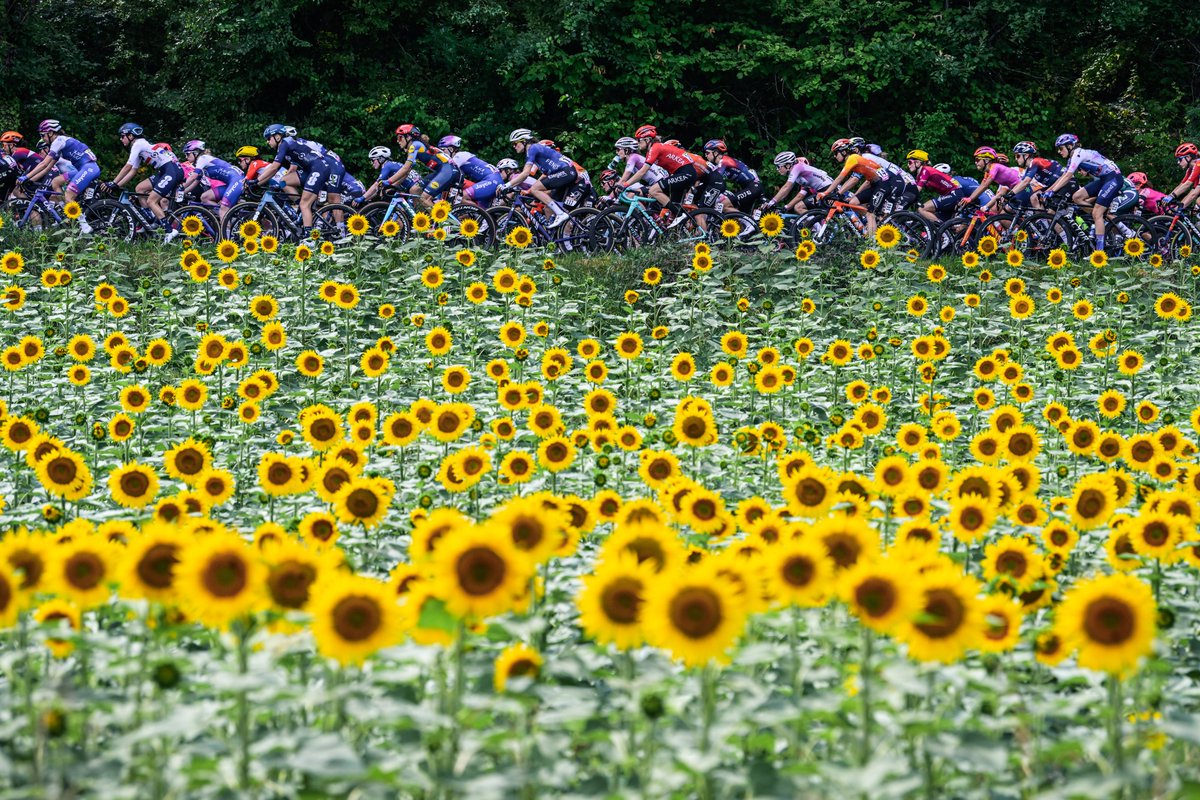 century21fr's tweet photo. Plus combatives que jamais, les coureuses poursuivent leur Tour de France Femmes avec Zwift.
L'occasion de découvrir l'architecture entre Albi et Blagnac.

@LeTourFemmes
#TDFF2023 #WatchTheFemmes https://t.co/B8t1FlaO8d