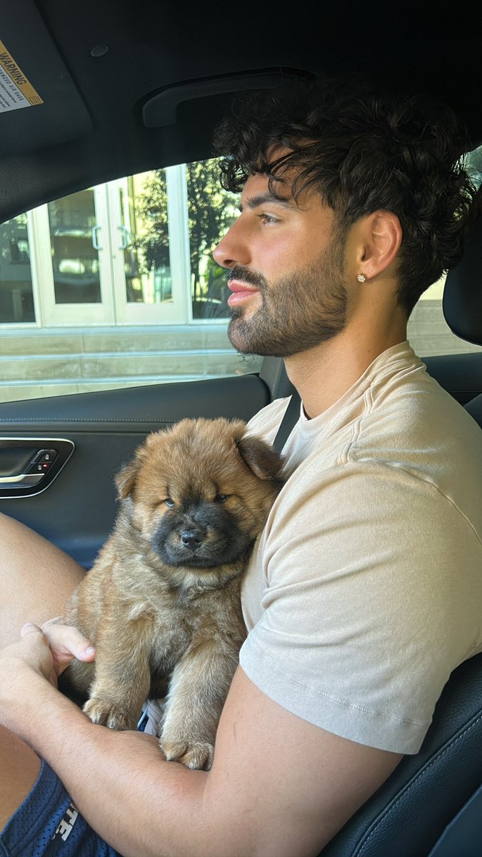 xonicobb's tweet photo. i got a puppy 🐻🧸 https://t.co/HYt4Hkupxo
