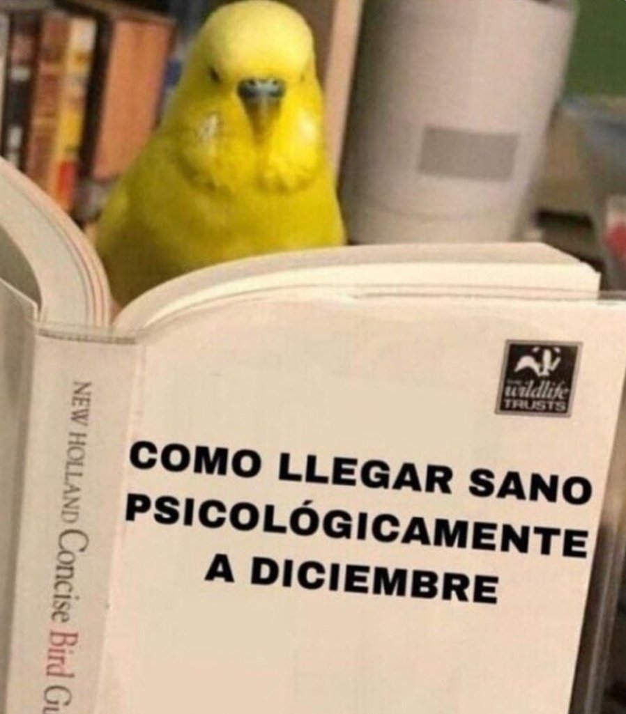 necesito ese libro