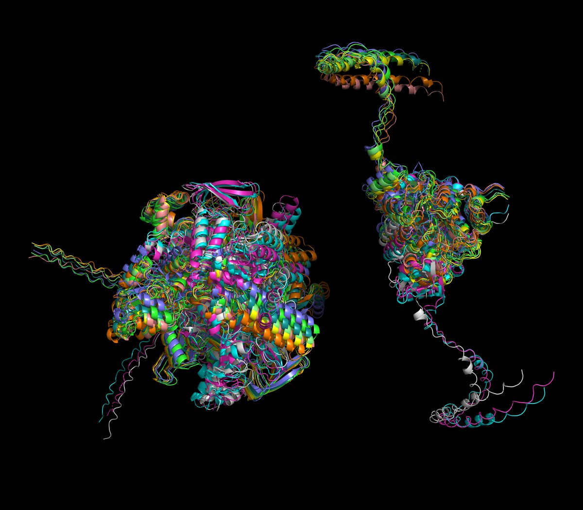DsSvetlov's tweet image. soft-soft-hard #AlphaLink2 models avoided noodle explosion (expectedly), but created (expectedly if you met AlphaFold-Multimer) a drive-through complex. That&apos;s an official term now.