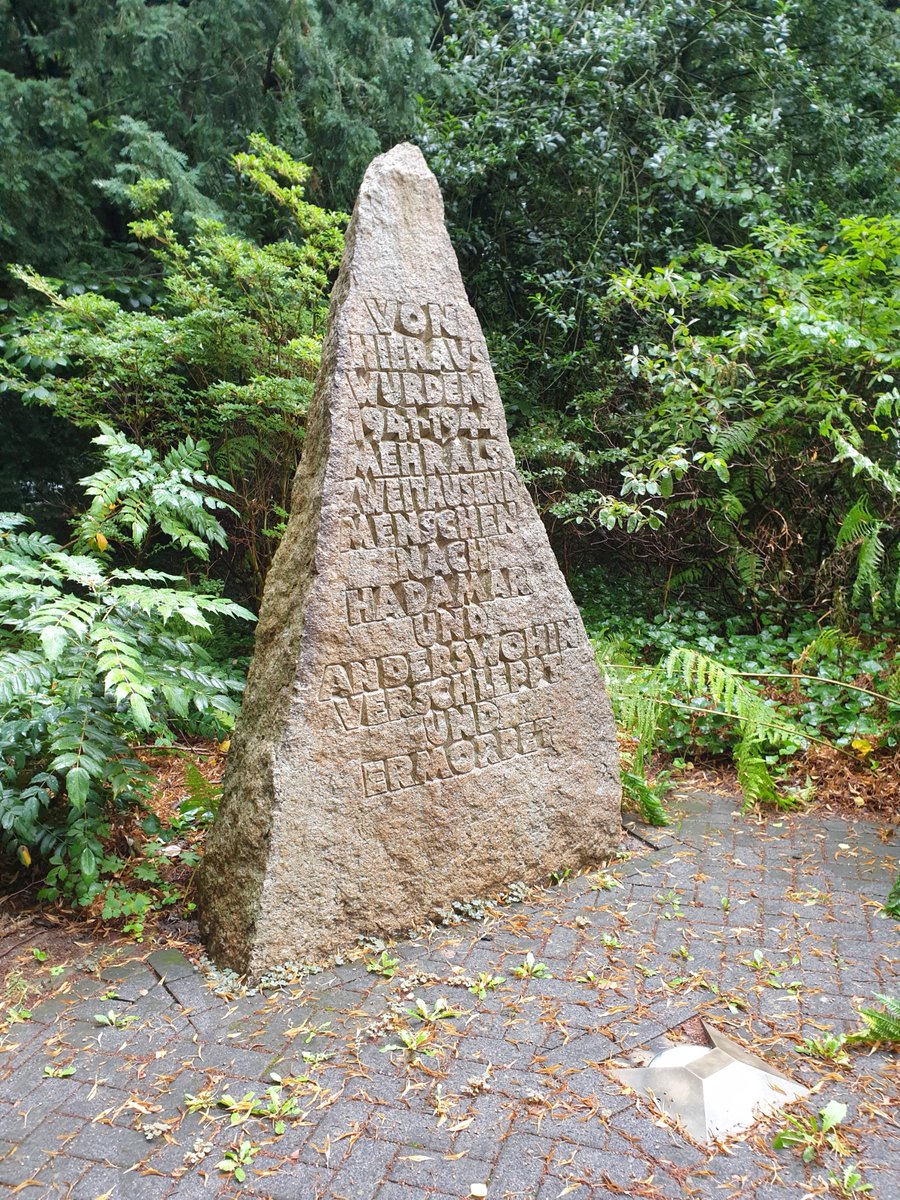 Zeitbild-Stiftung tweet media