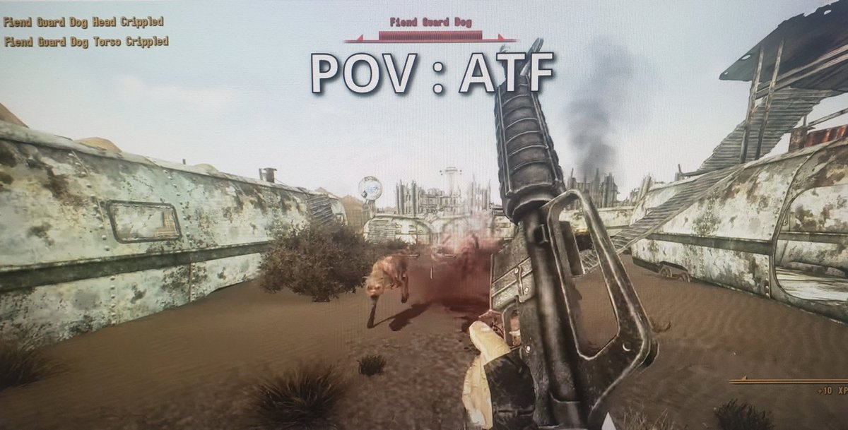 Goldcorp Gun Bunny (@secretbnuy762) on Twitter photo 